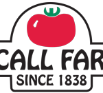 Vegetable & Fruit Processing Equipment