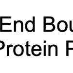 High End Boutique Vegan Protein Producer